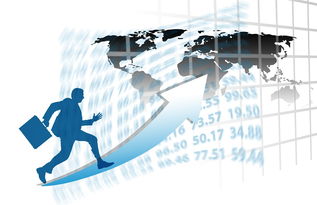 中国篮球职业联赛赛事运营风险控制策略研究，篮球赛事运营方案